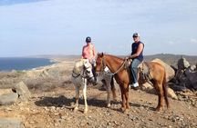 Sunset Horseback Ride in Aruba