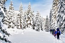 Snowshoe Through Vancouver's Winter Wonderland
