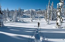 Snowshoe Through Vancouver's Winter Wonderland