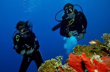 PADI Discover Scuba Diving Course in Bayahibe
