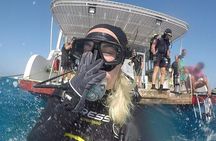 Hurghada Daily Scuba Dive Trip
