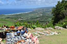  Barbados Island Highlights Half-Day Tour 
