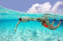 El Cielo Cozumel