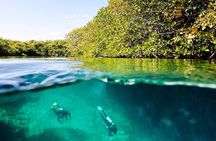 Amazing beginner dive in Tulum cenote (or refresher dive)