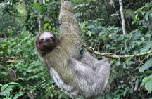 La Fortuna Waterfall, Hanging Bridges, Arenal Volcano Combo Tour
