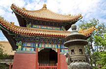 Full-Day Beijing City Tour: Hutongs, Lama Temple and Panda House