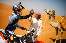 Camel & Quad Combo In Douz Sahara Desert