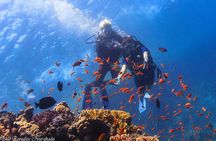 Safe Try dive-Personal instructor, 1:1 experience, Top boat