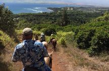West Maui Mountain Waterfall and Ocean Tour via Horseback