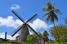 Hunte's Garden and St Nicholas Abbey small group Barbados tour