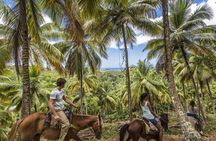 Samana Discovery Tour from Punta Cana