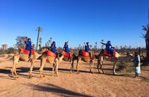 2 Hours Camel Ride in The Famous Marrakech Palm Groves and Berber Villages