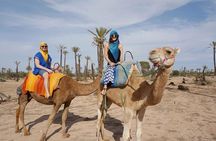 2 Hours Camel Ride in The Famous Marrakech Palm Groves and Berber Villages
