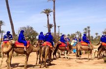 Camel Ride and Quad Bike in Palmeraie