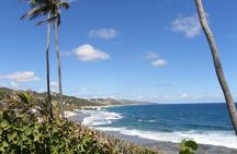 Barbados Shore Excursion Barbados Paradise Sightseeing Tour 