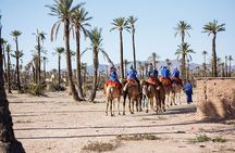  camel ride in Marrakech palm grove