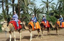 Camel ride in Marrakech palm grove