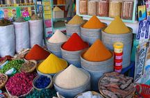 Marrakech City Highlights Full-Day Tour