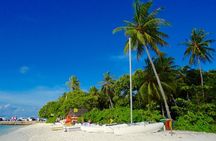 Half-Day Original Eco Tour to Villimale From Malé