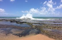 Full-Day Beach Hopping Tour from Salvador to Praia do Forte