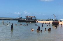 Full-Day Beach Hopping Tour from Salvador to Praia do Forte