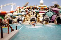 Full Day Abu Dhabi City Tour & Yas Water World Entry ticket with Transfers