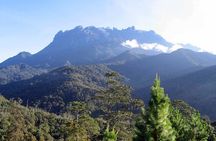 Kinabalu Park & Poring Hot Spring Tour