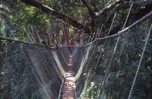 Kinabalu Park & Poring Hot Spring Tour