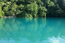 Tour to Fern Gully and Konoko Falls and Park