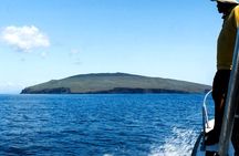 Full-Day Pinzon Island Snorkeling and Fishing 