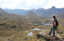 Private Trekking Full-Day Tour at Cajas National Park