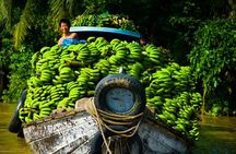 Cu chi Tunnel & Mekong Delta Full Day BBQ Lunch Lux Group 10 pax