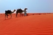 Dubai Desert Safari Exclusive jeep, activities, shows (01-05 persons) per jeep