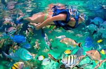 Tulum Coba Akumal Snorkel tour Premium Service Small Group