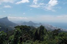 Tijuca Forest Jeep Tour