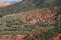 Private Day trip from Marrakech to Atlas Mountains