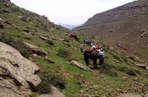 Private Day trip from Marrakech to Imlil & the atlas mountains