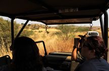 Full Day Pilanesberg Experience in Open Vehicle