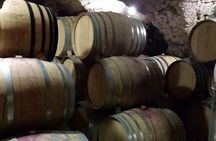 Provence Cru Wine Small-Group Half-Day Tour from Avignon