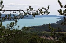 Full day lavender tour Luberon and Sault