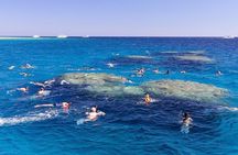 Ras Mohamed Park and the White Island snorkeling tour by boat