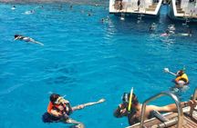 Ras Mohamed Park and the White Island snorkeling tour by boat