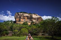 Sigiriya Rock and Dambulla Cave Temple all inclusive Private Day Trip