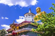 Sigiriya Rock and Dambulla Cave Temple all inclusive Private Day Trip