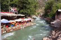 Private : Day trip to Ourika valley Atlas mountains