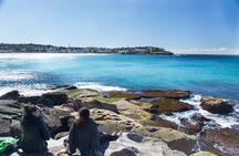 Sea Cliff Bridge, Kiama Blowhole, Beaches & Farmlands Small Group