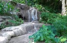 Konoko Falls and Tropical Garden Tour from Runaway Bay