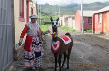 Full Day Trip to Colca Canyon from Arequipa