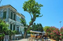 Princes' Islands Tour from Istanbul
