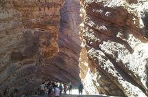 Full-Day Tour Cafayate Calchaqui Valleys with Wine